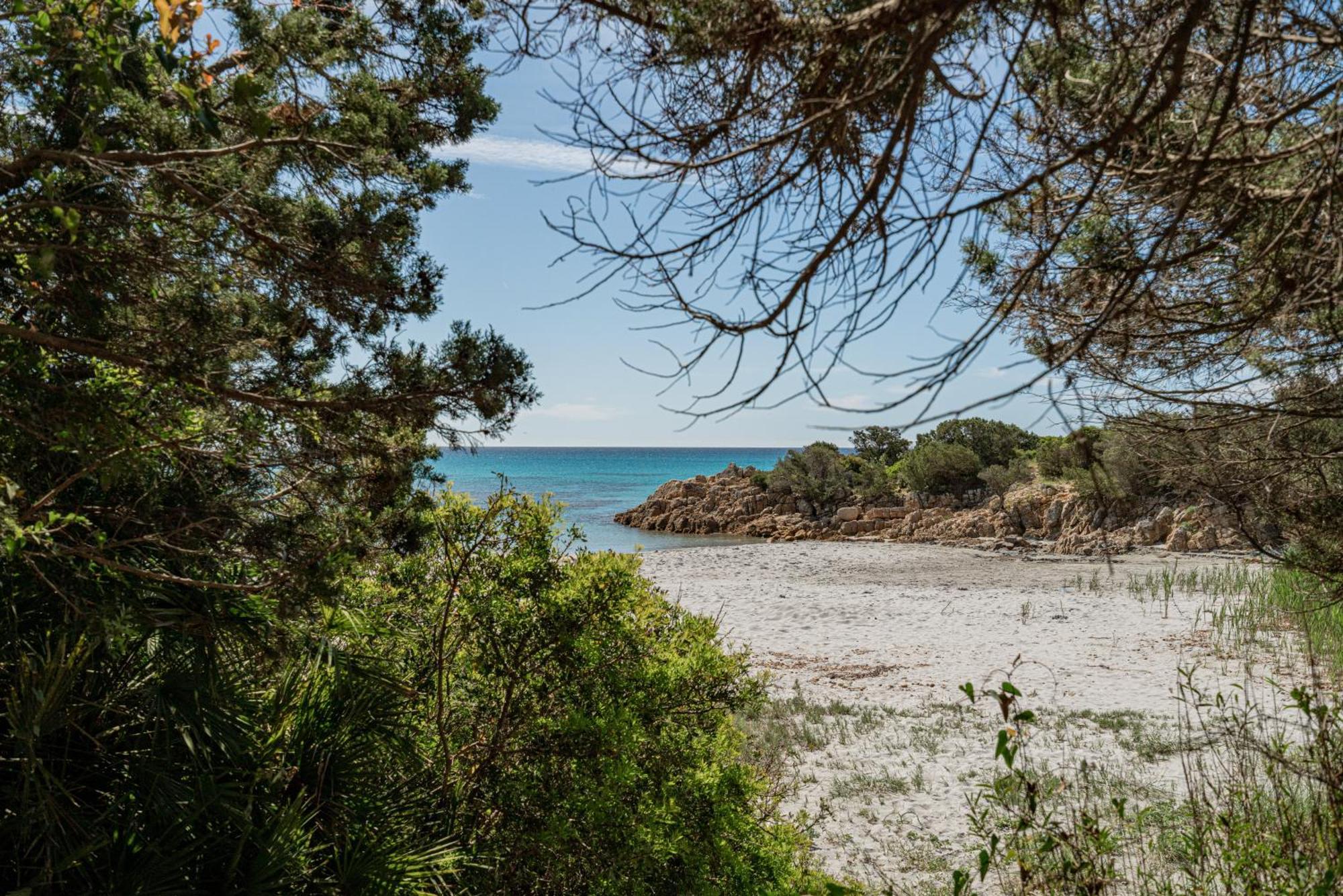 Casa Donatella, In Riva Al Mare! Villa Cala Liberotto Bagian luar foto